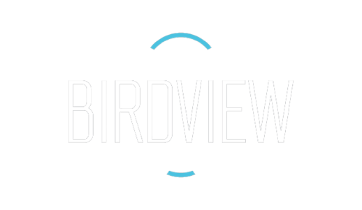 Birdview-Logo-SourceFile-BlackBG-removebg-preview